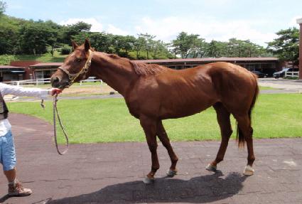 ����ũ���� ����