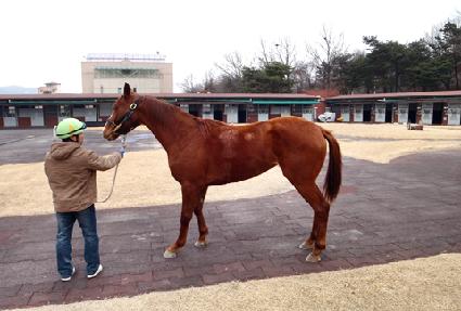 ����ũ������ ����