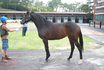 ���Ͽ� ����