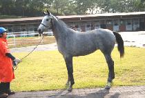 �ǹ��� (SILVER QUEEN) ����