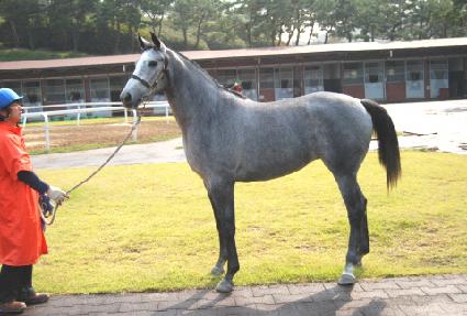 �ǹ��� ����