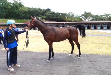 ����Ŀ ����