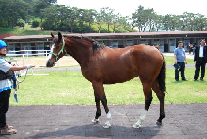 ���ĺ�ö� ����