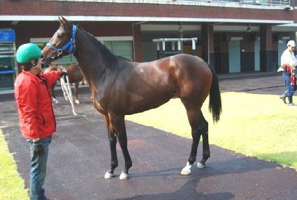 ���������� ����