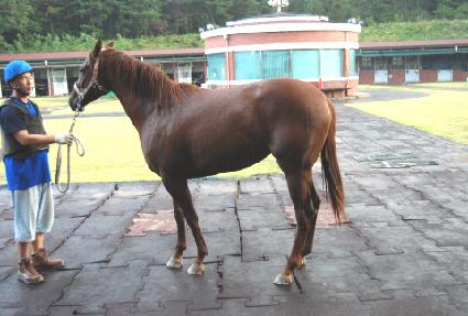 õ����� ����