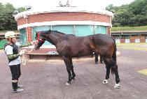 ������� (JANGSU NURI) ����