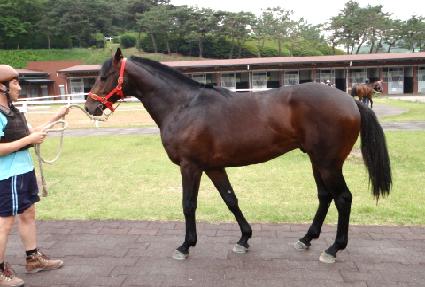 ����� ����