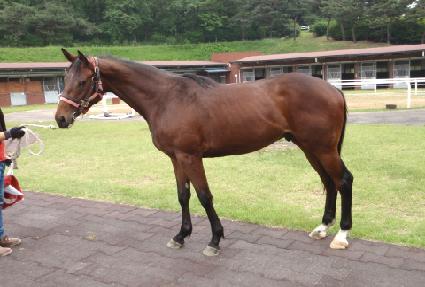 �����ġ ����