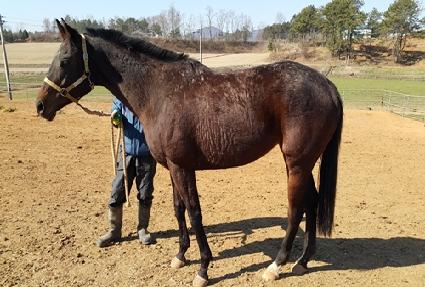 �׿�ķ�� ����