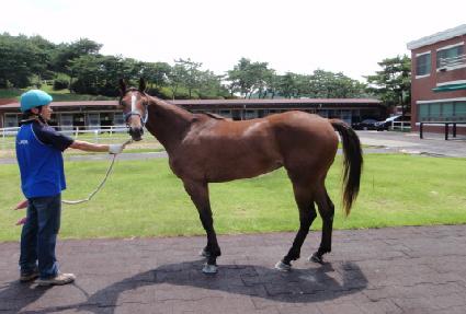 ���Ǹ��Ŀ� ����