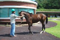 ī���Ŀ� (COBBER HUYE) ����