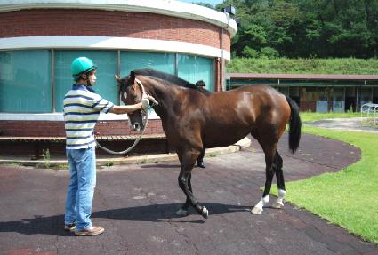 ī���Ŀ� ����