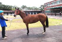 �۽�Ʈ�� (FIRST GIRL) ����