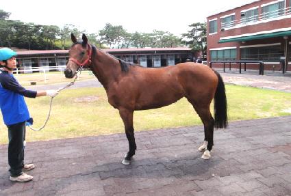 �۽�Ʈ�� ����