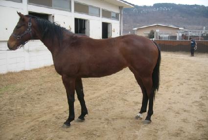 ��³��� ����