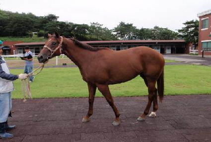 ��Ƽ�� ����