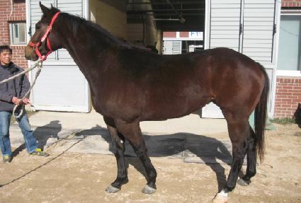 �ͽ�Ʈ��ȣũ ����