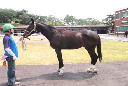 �������� ����