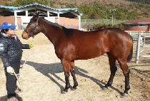 ����� (REAL GONE) ����