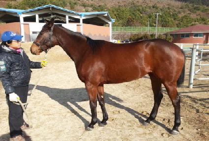 ����� ����