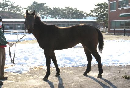 �巡�����¡ ����