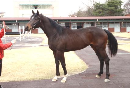 ���̾���ġ ����