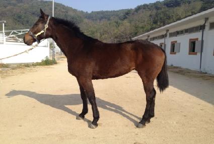 �����ν� ����