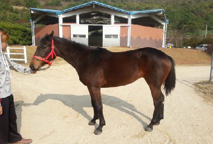 ���Ϲ� ����