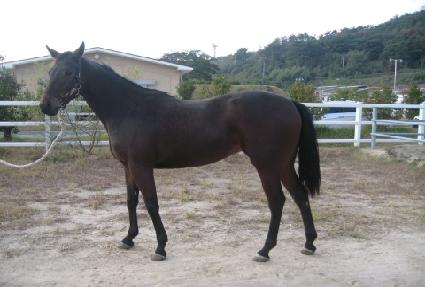 ����Ʈ����Ʈ ����