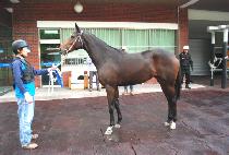 ���è�� (SANGWON CHAMP) ����