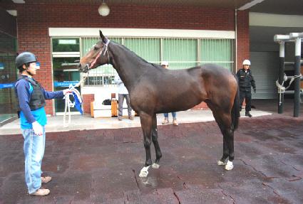 ���è�� ����