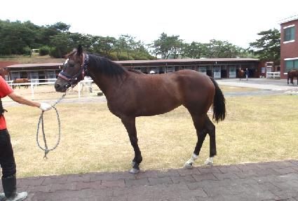 �����è�Ǿ� ����