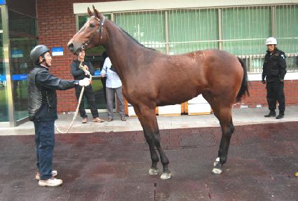 ����è�Ǿ� ����