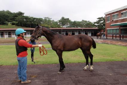 ��ĳ���� ����