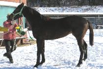 ���Ϲ��� (MUIL MUAN) ����