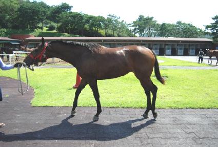 ��ǳȸ���� ����