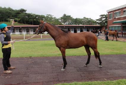 ��Ʈ�� ����