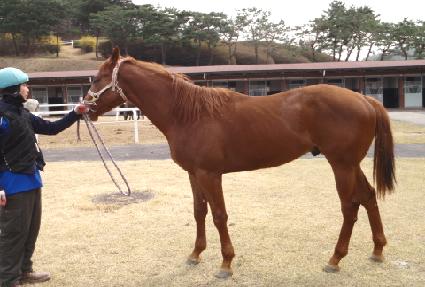 ���ó�� ����