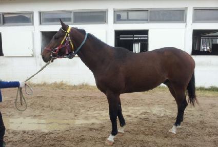 ���ż� ����