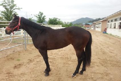 ����� ����