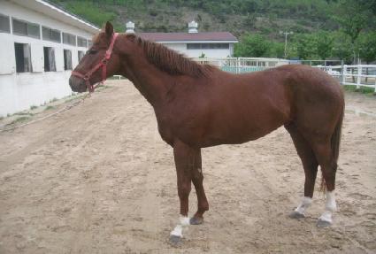 �Ѿ������� ����