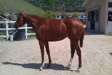 �����ְ� ����