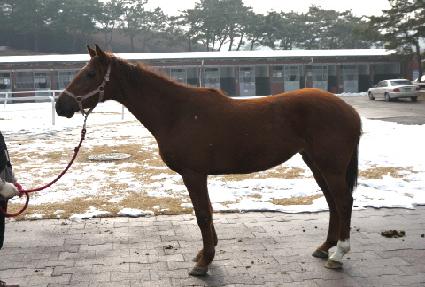 �����������ڸ� ����