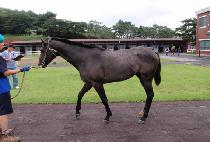 ��ȫ (CHWI HONG) ����