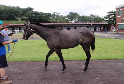 ��ȫ ����