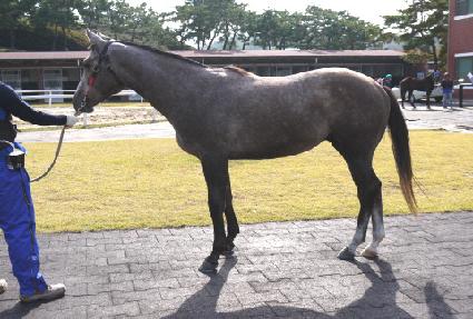 ���� ����