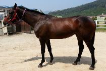 ���� (DELLING) ����