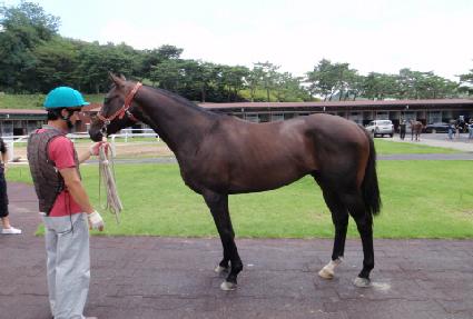 �¸��Ǳ�� ����