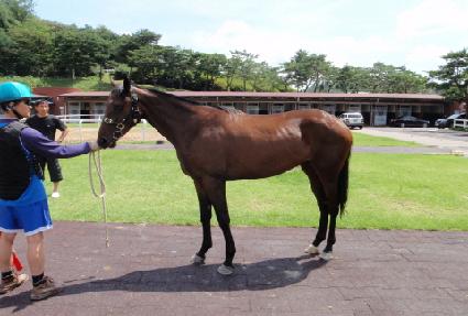 �������� ����