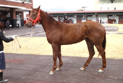 Ŭ���̰� ����